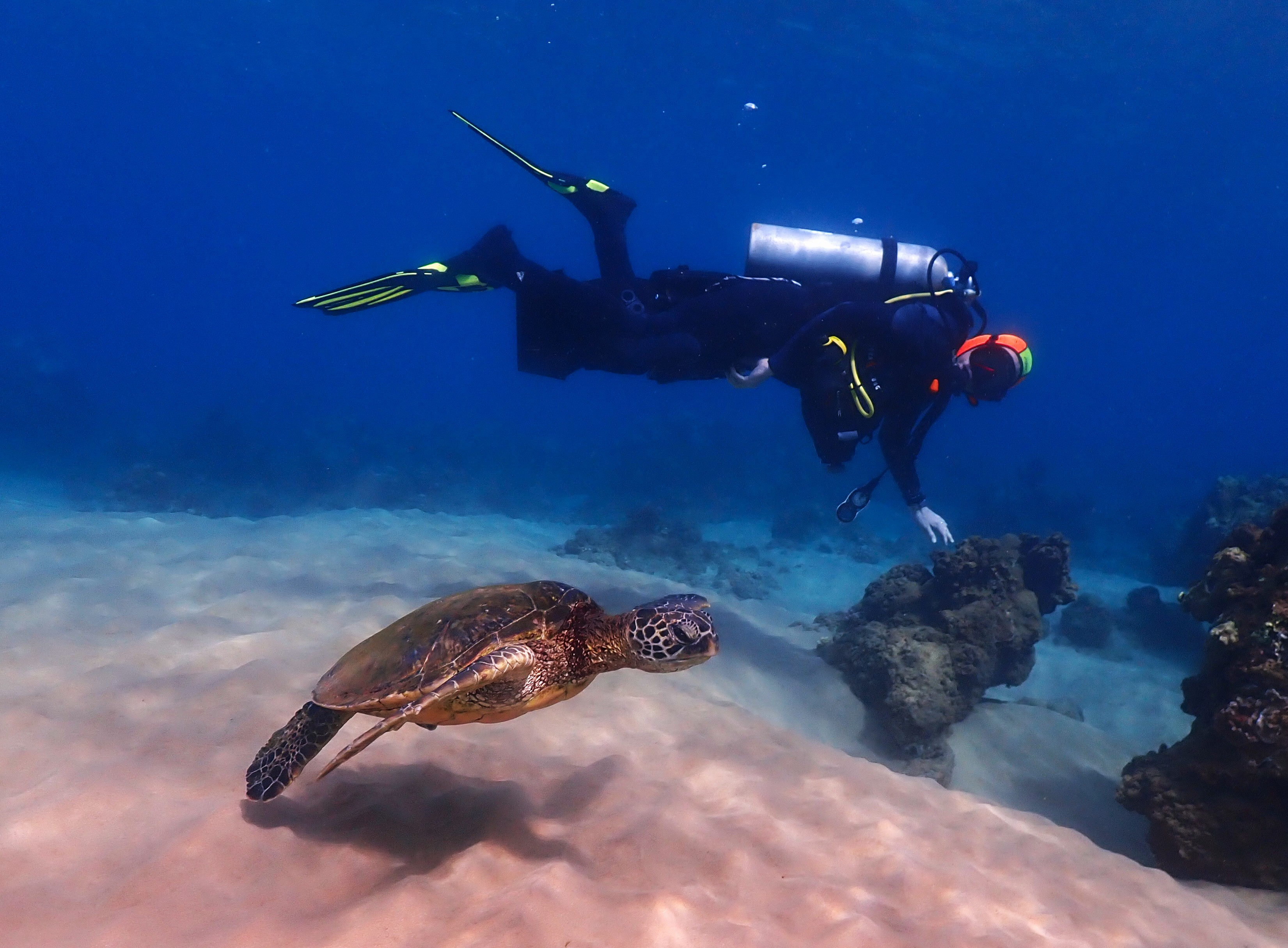 Maui Dive Packages