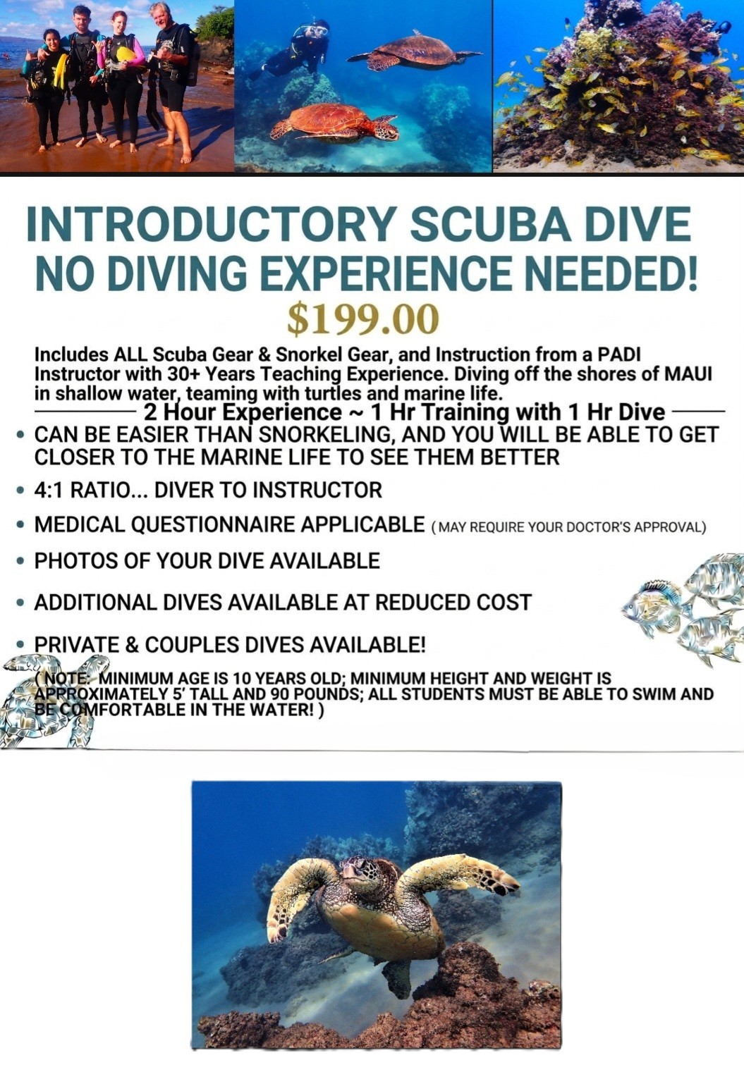 Maui Diving