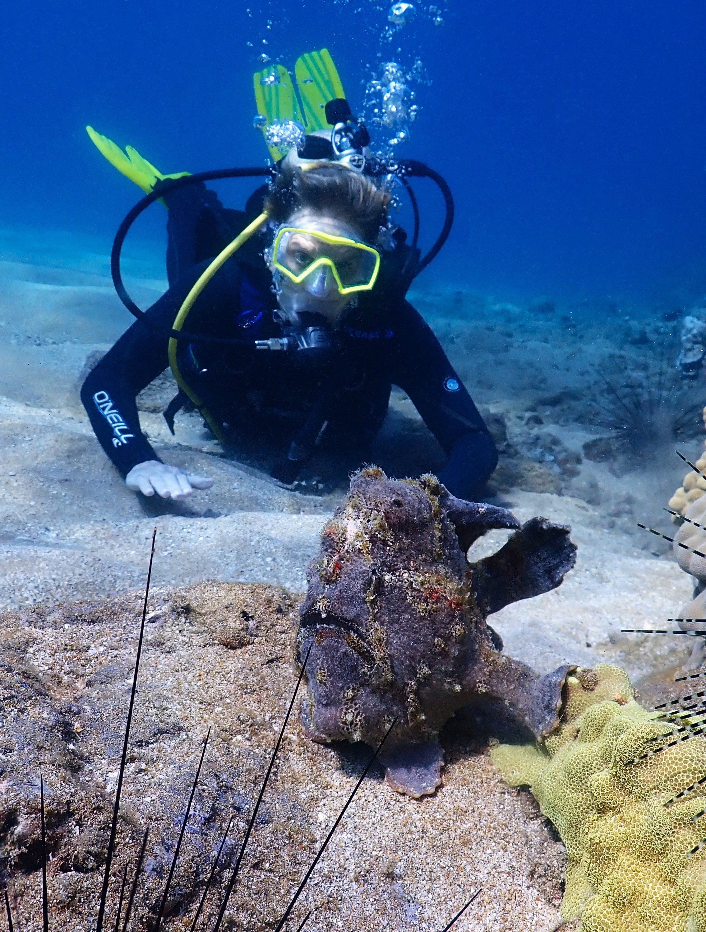 PADI Open Water Referral