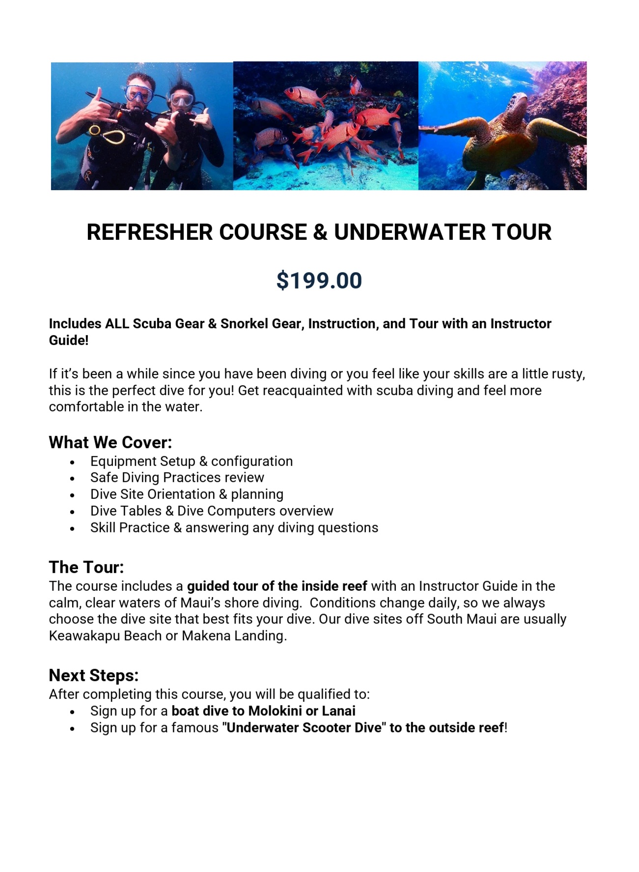 Guided Maui Reef Dive