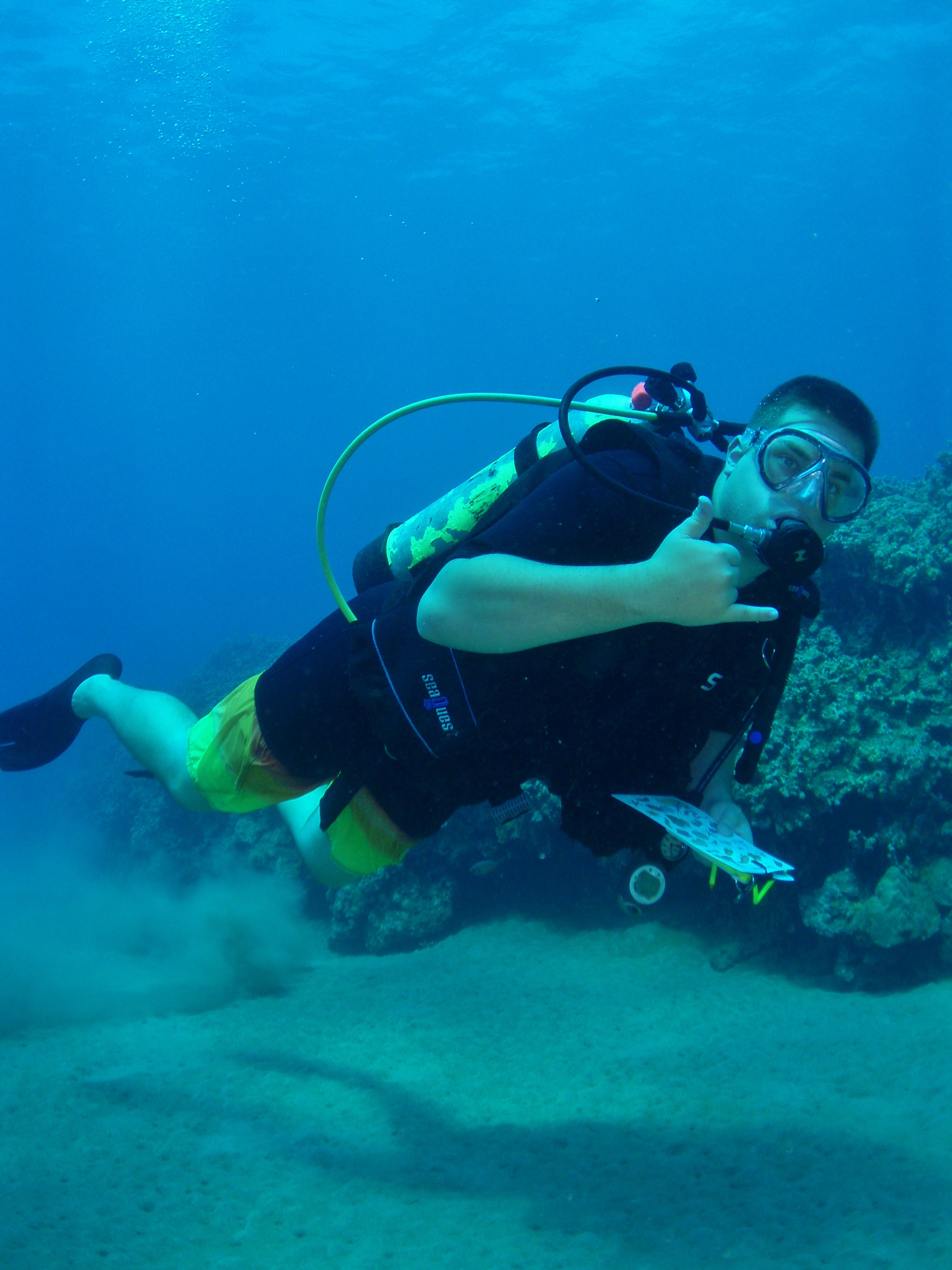 Couples Dive