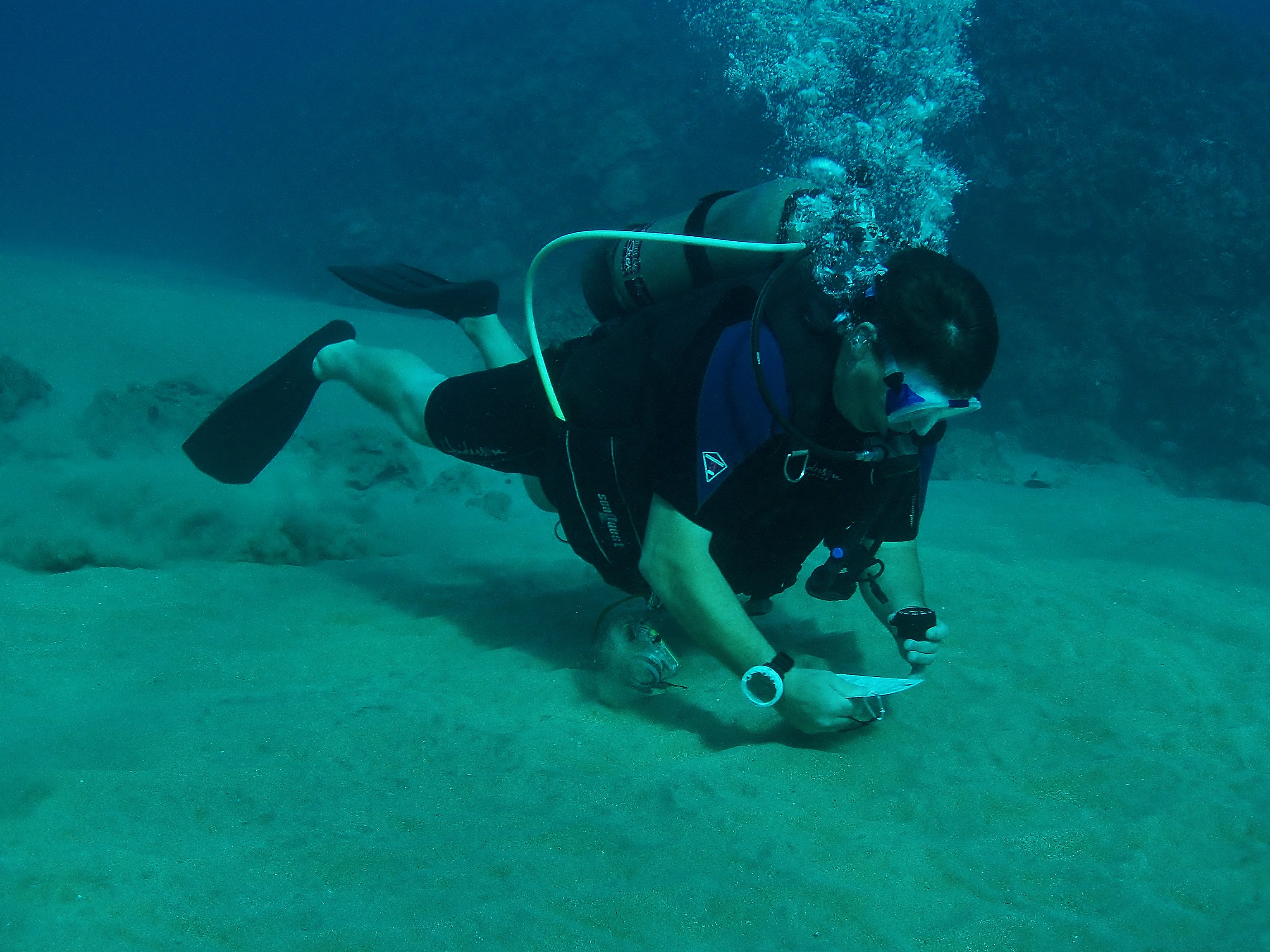 Maui Scuba Diving