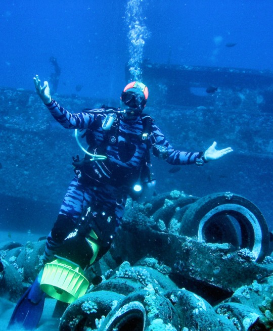 Maui Scuba Diving