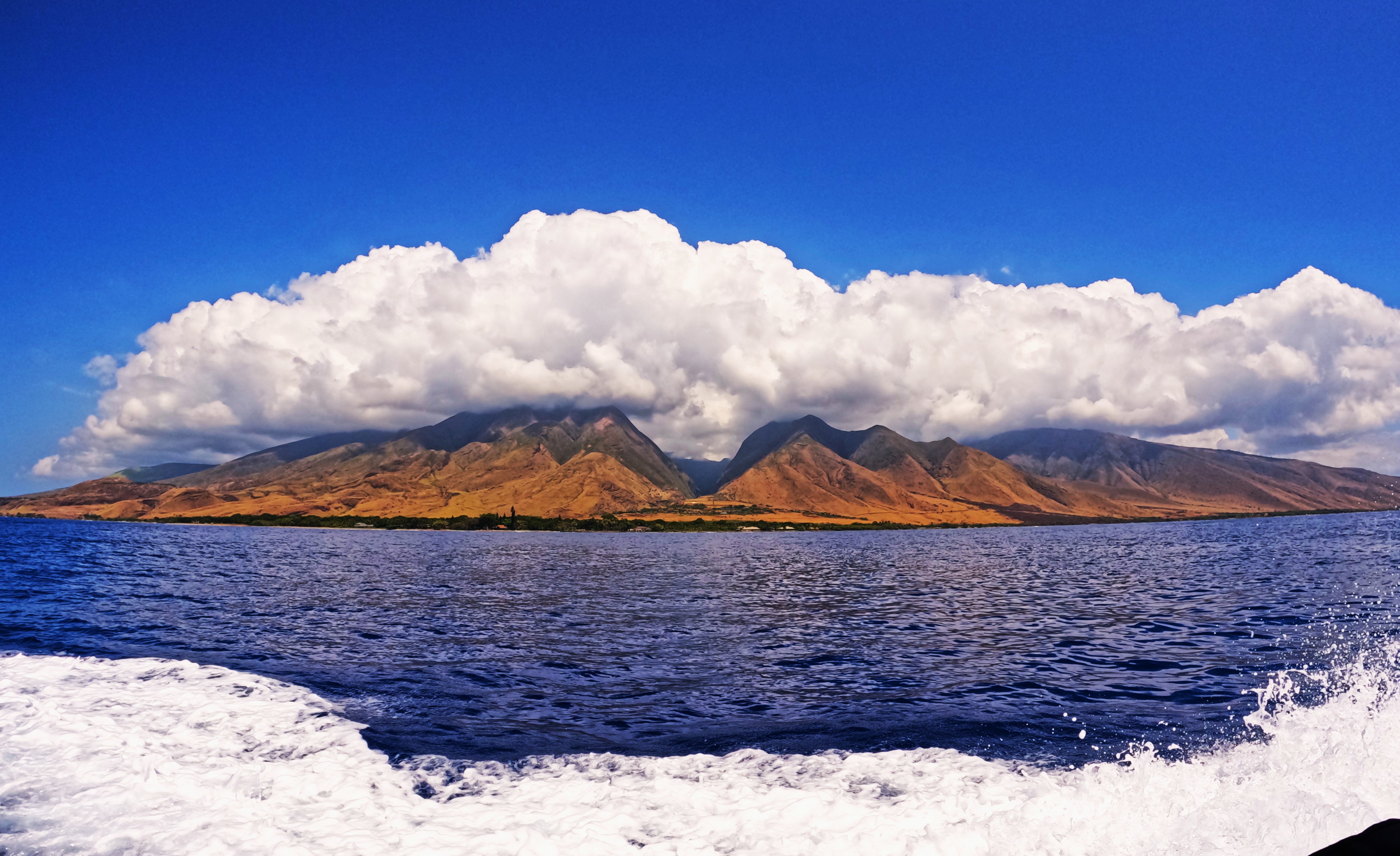 Maui Scuba Diving