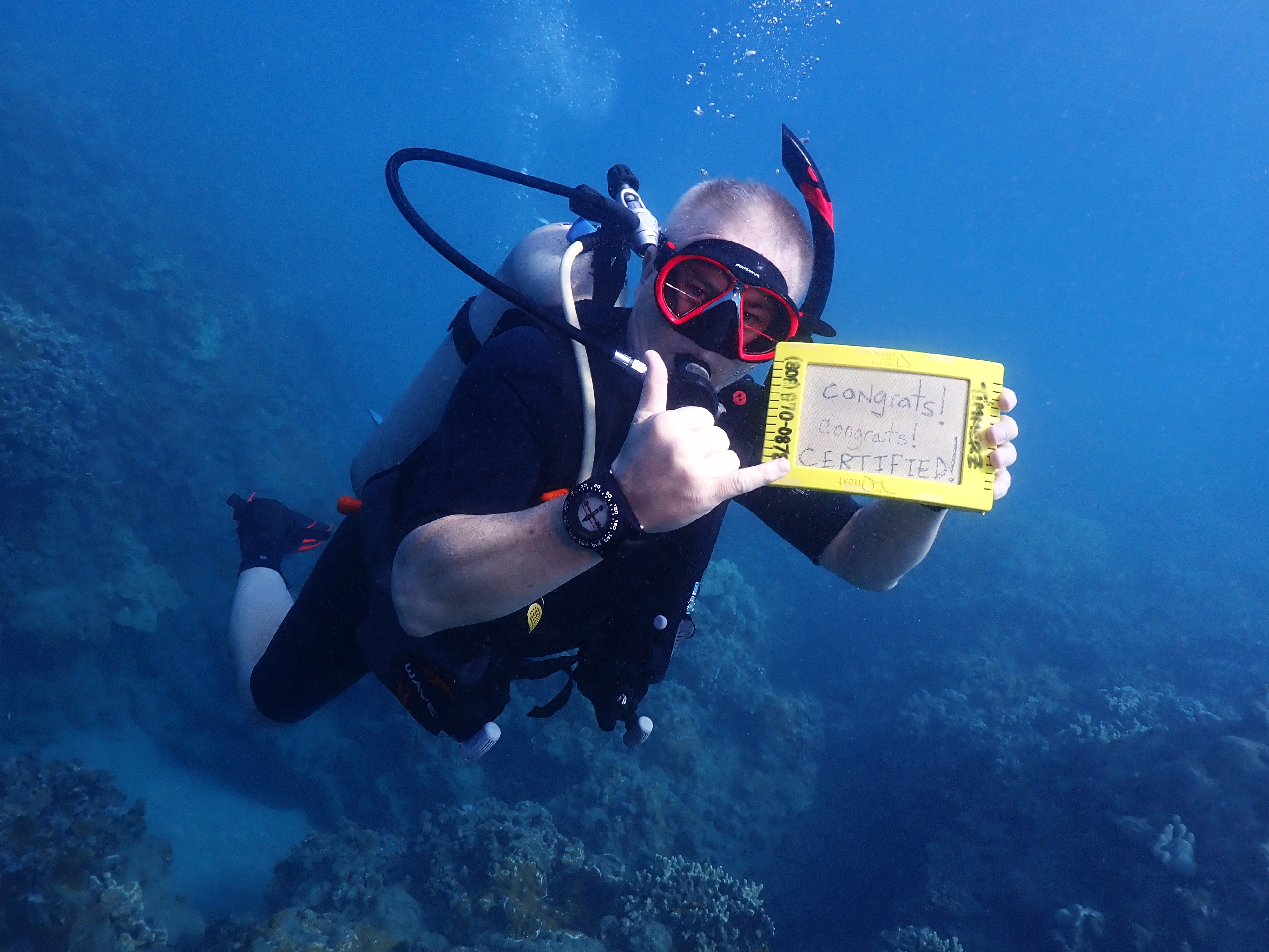 PADI Open Water Certification