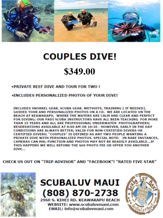 Guided Maui Reef Dive