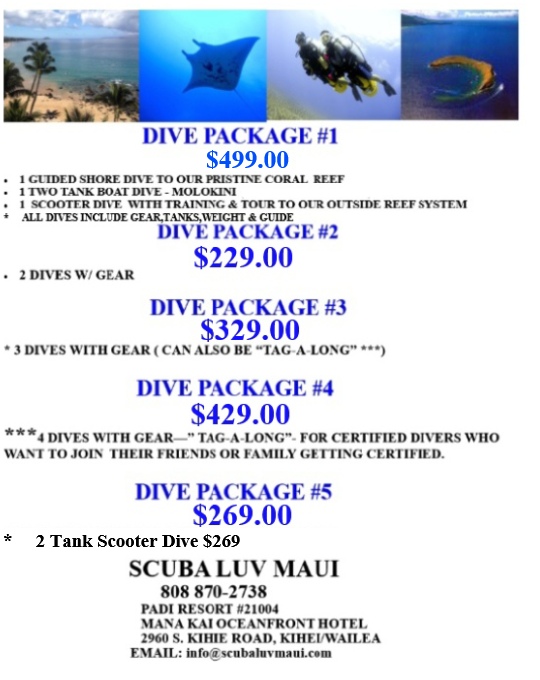 Maui Dive Packages